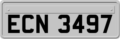 ECN3497