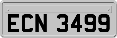 ECN3499