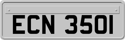 ECN3501