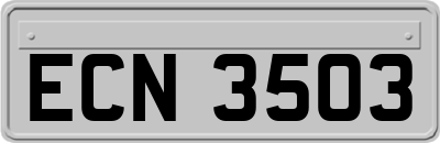 ECN3503