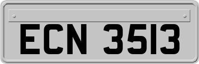 ECN3513
