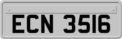 ECN3516
