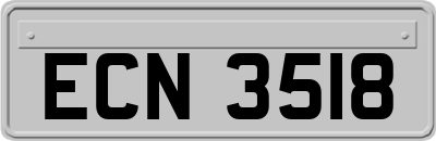 ECN3518