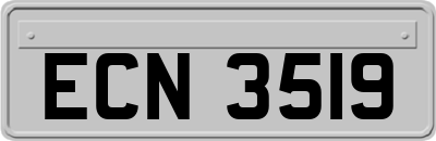 ECN3519