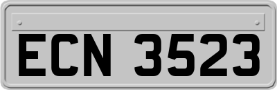 ECN3523