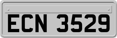 ECN3529