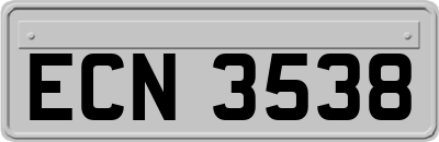 ECN3538