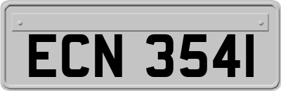 ECN3541