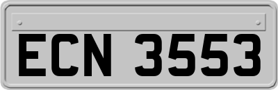 ECN3553