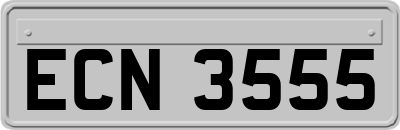 ECN3555