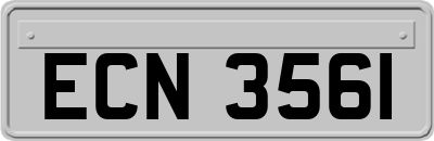 ECN3561