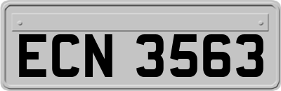 ECN3563
