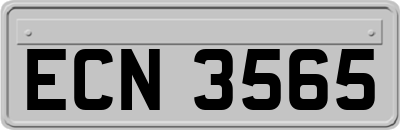 ECN3565
