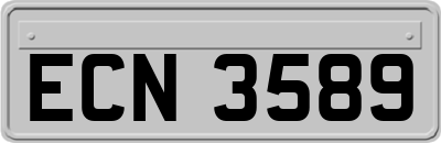 ECN3589