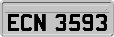 ECN3593
