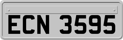 ECN3595