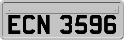 ECN3596