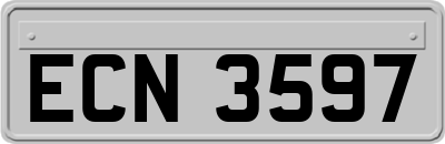 ECN3597