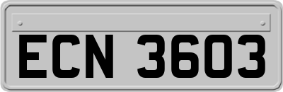 ECN3603