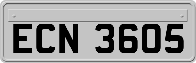 ECN3605