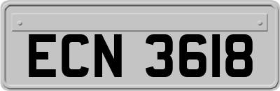 ECN3618