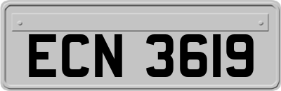 ECN3619