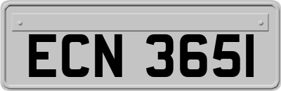 ECN3651