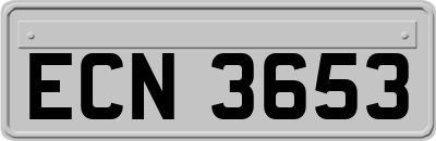 ECN3653