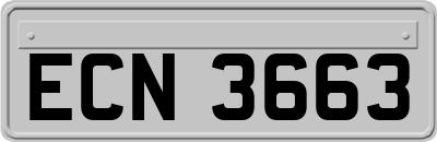 ECN3663