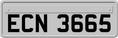 ECN3665
