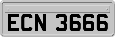 ECN3666