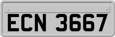 ECN3667