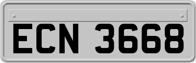 ECN3668
