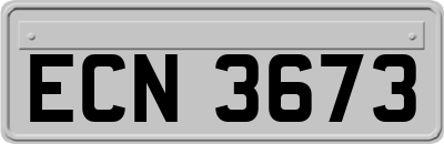 ECN3673