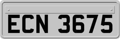 ECN3675
