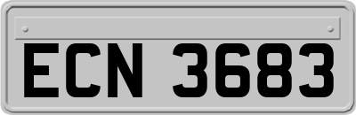 ECN3683
