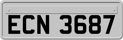 ECN3687