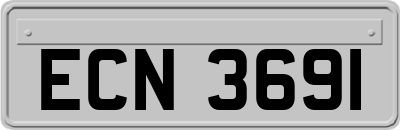 ECN3691