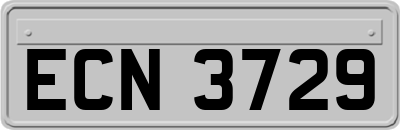 ECN3729