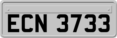 ECN3733