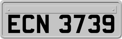 ECN3739