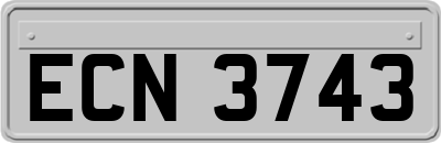 ECN3743