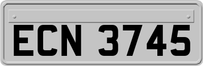 ECN3745