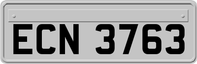 ECN3763
