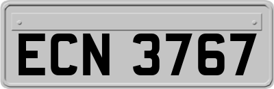 ECN3767