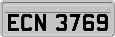 ECN3769
