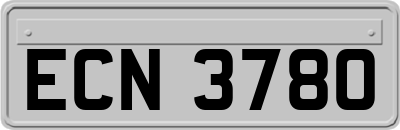 ECN3780