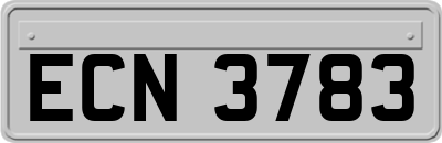 ECN3783
