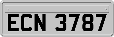 ECN3787