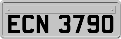 ECN3790